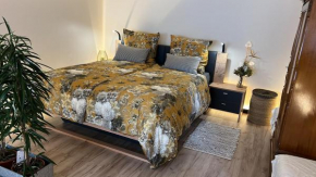 Budahome im Schwarzwald Neuenbürg